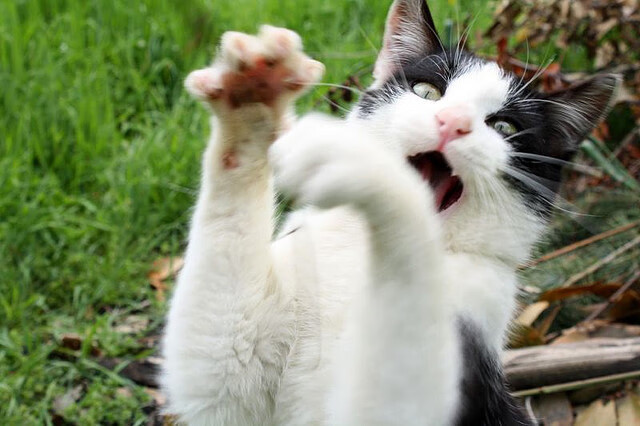 中国青年篮球队启程备战国际青少赛,中国青年篮球比赛