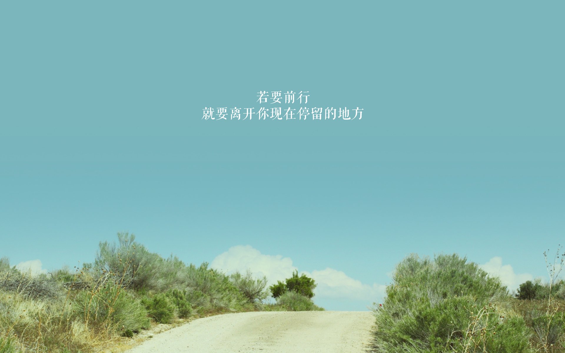 WRC新技术亮相:智能辅助带来新体验,wrc软件