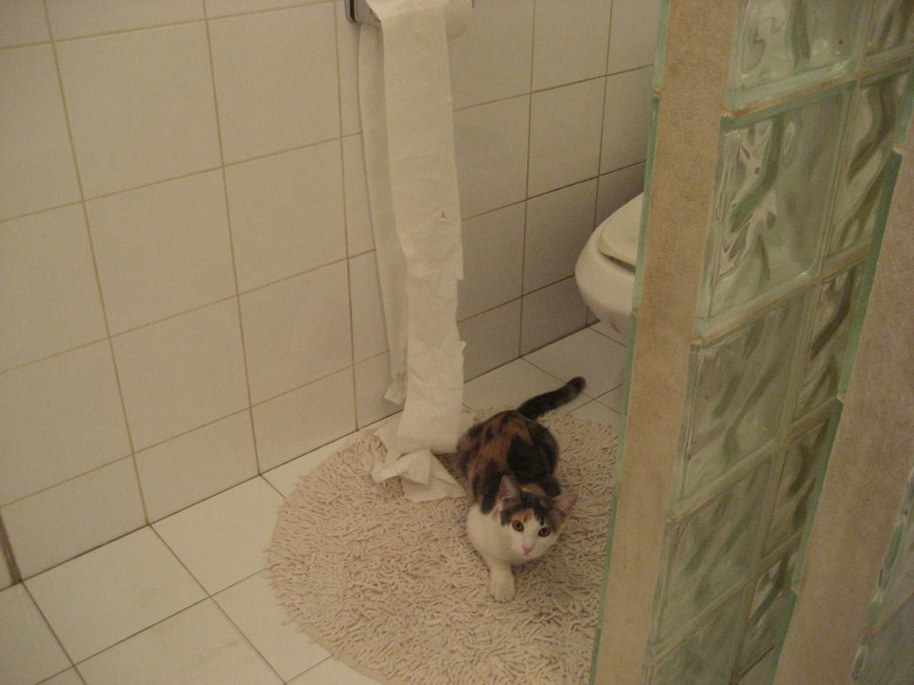 压力之下：冠军车手的心理调节法宝